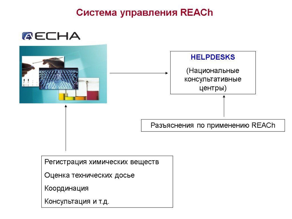 HELPDESKS (Национальные консультативные центры) Система управления REACh Регистрация химических веществ Оценка технических досье Координация